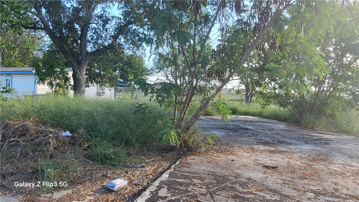 1013 Dona Dr Property Photo 1