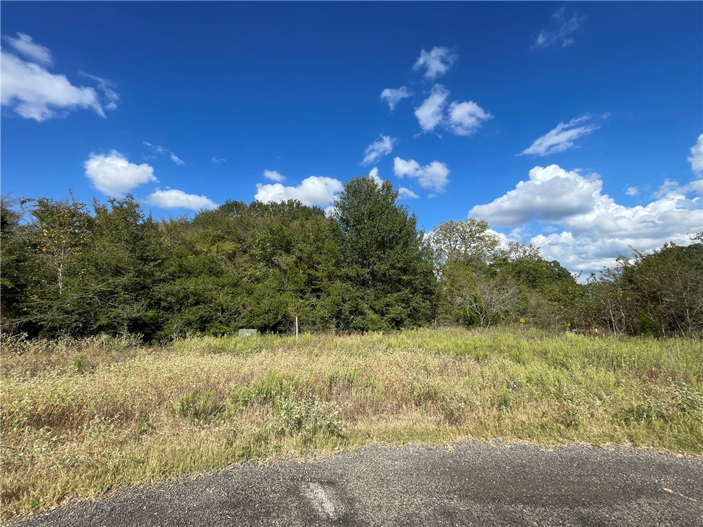 6488 Olivia Property Photo 3