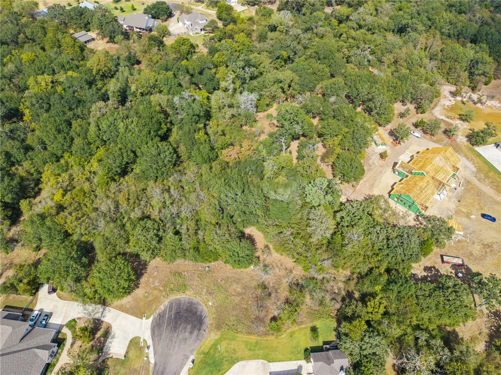 6488 Olivia Property Photo 7