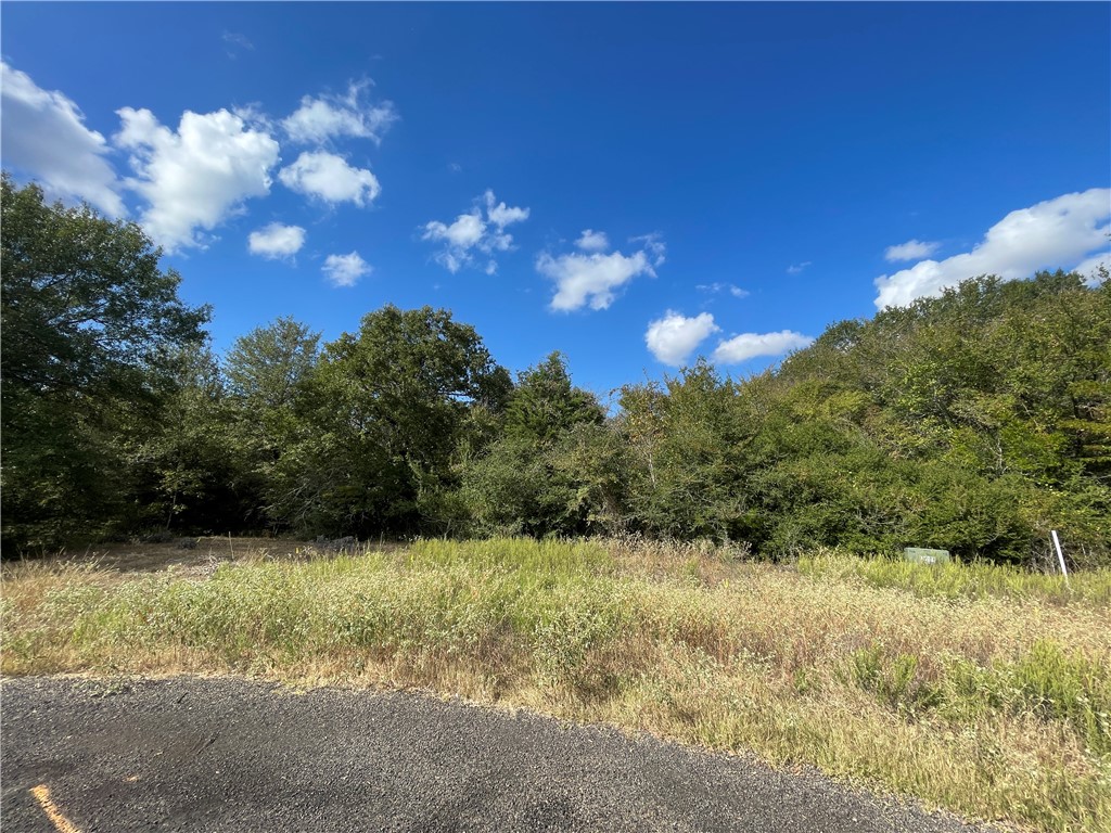 6489 Olivia Property Photo 2