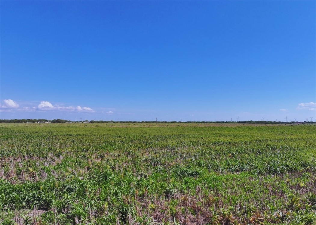 Tbd Cr 2367 Property Photo 5