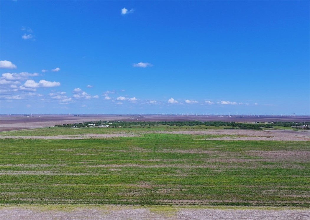 Tbd Cr 2367 Property Photo 6