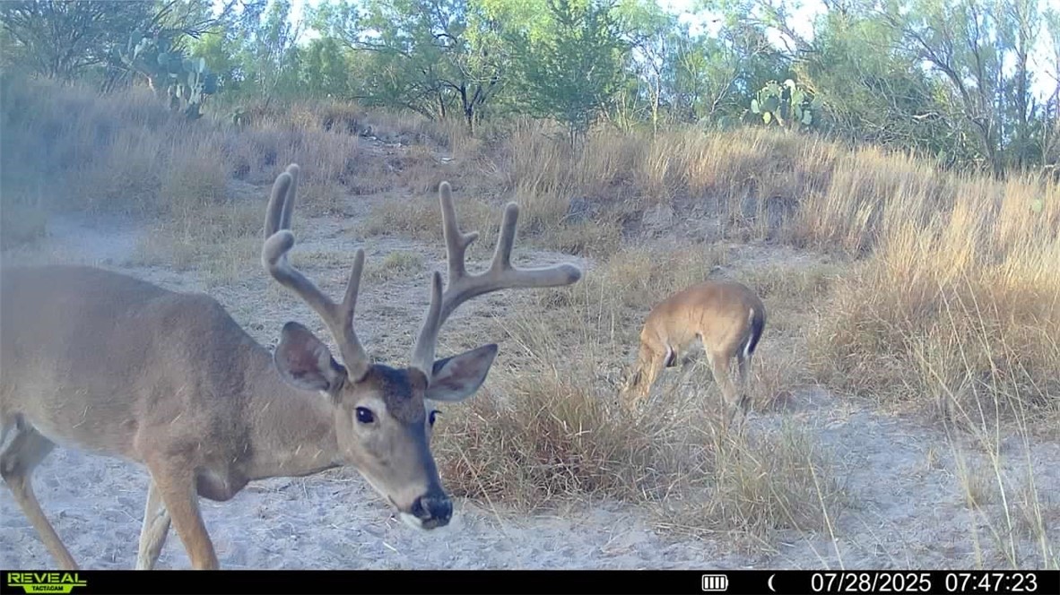 0 Cameron Lane Property Photo 1