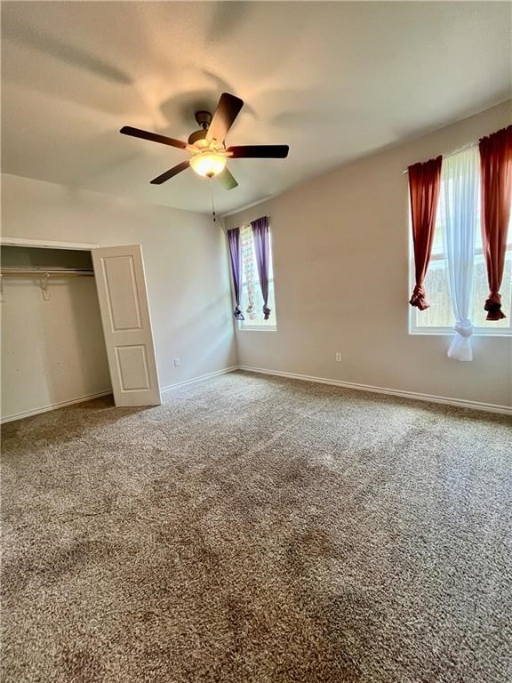 157 Shady Terrace Property Photo 13