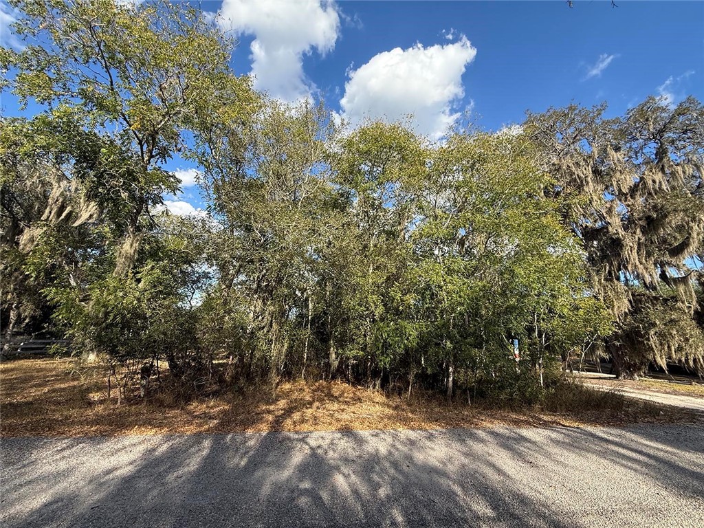 00 Javelina Creek Dr Property Photo 1