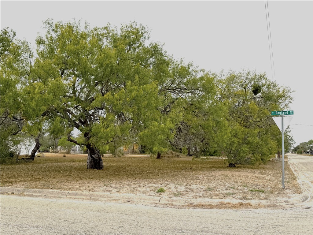 700 W Ragland Ave Property Photo