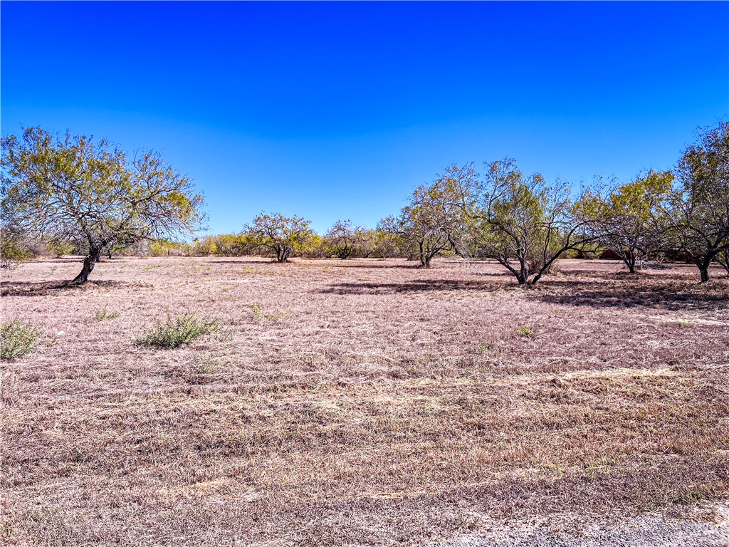 Lot 10 Fm 3376 Property Photo 1
