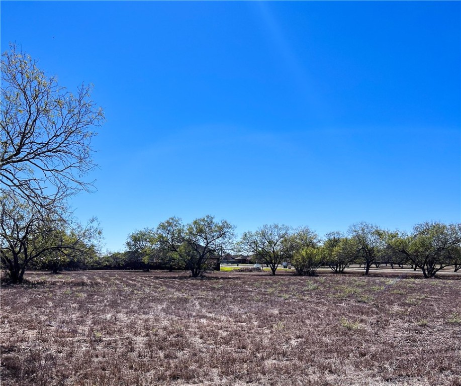 Lot 11 Fm 3376 Property Photo 1