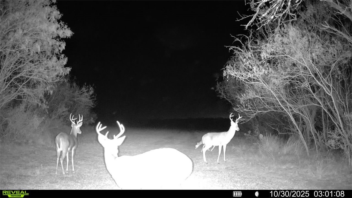 0 County Road 215- 30 Acres Property Photo 2