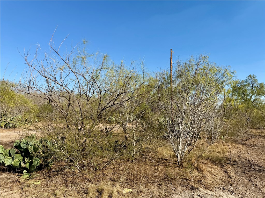 0 County Road 215- 30 Acres Property Photo 10
