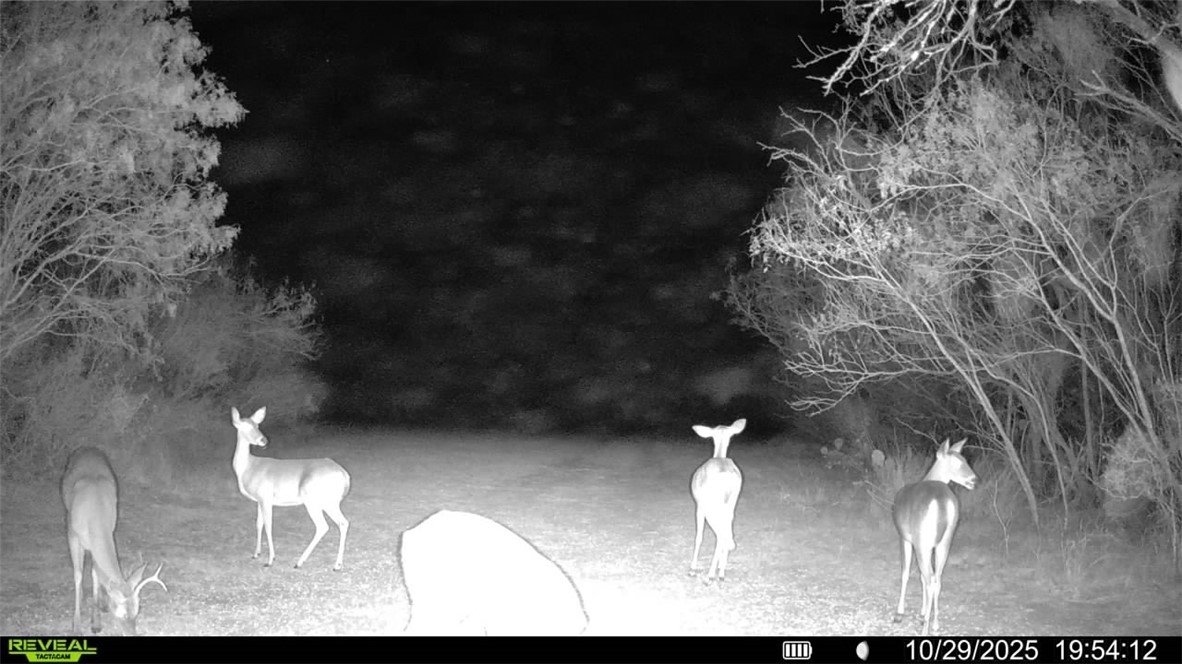 0 County Road 215- 30 Acres Property Photo 12