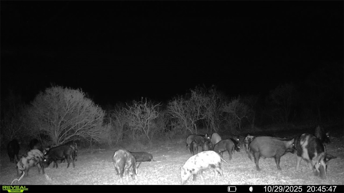 0 County Road 215- 30 Acres Property Photo 14