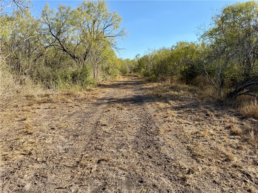 0 County Road 215- 30 Acres Property Photo 18