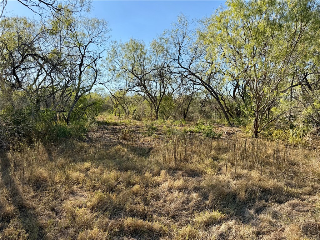 0 County Road 215- 30 Acres Property Photo 20