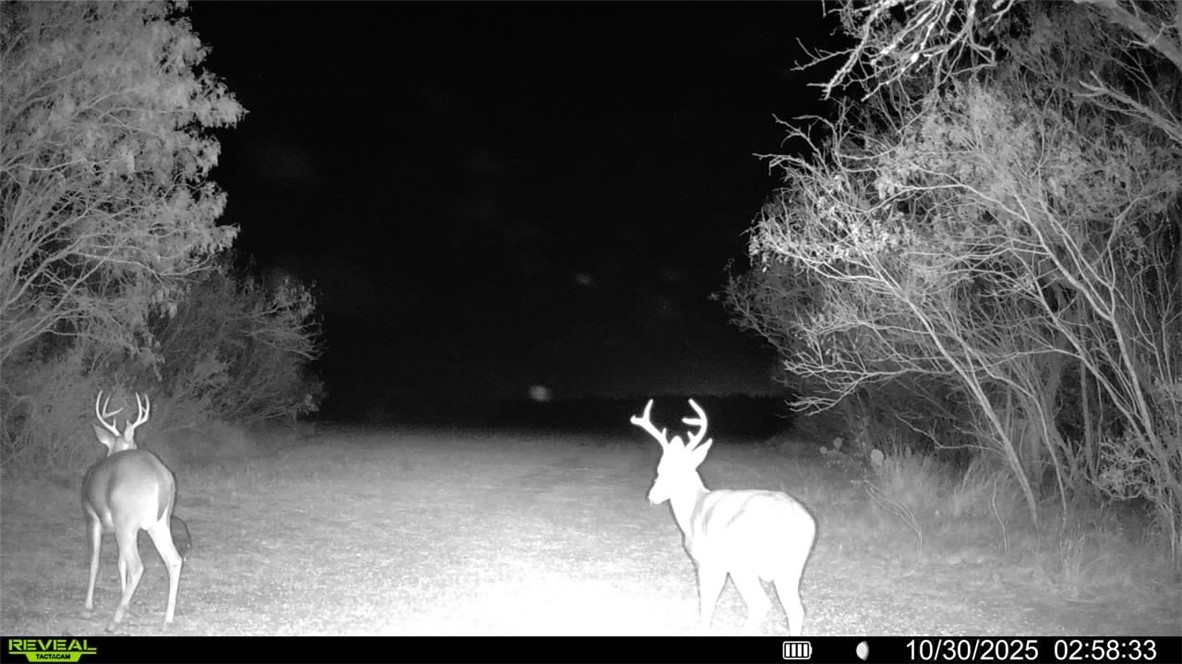 0 County Road 215- 30 Acres Property Photo 22