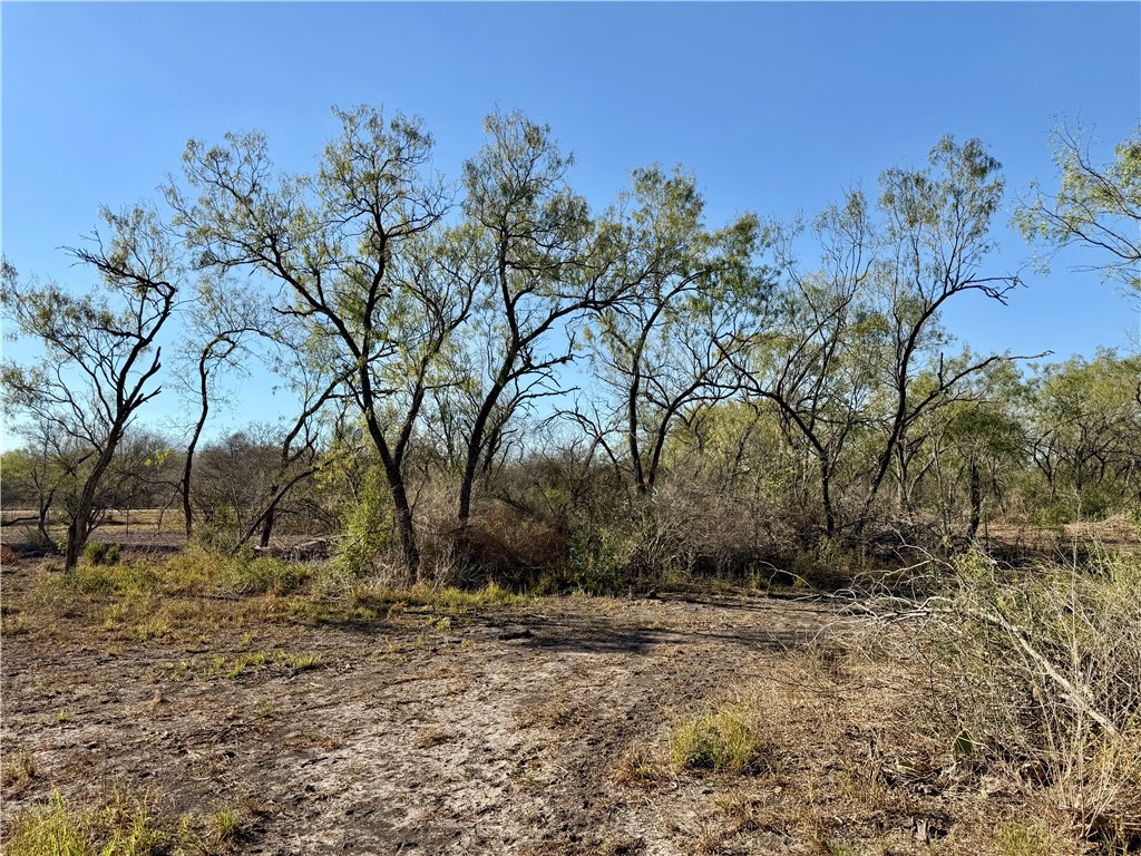 0 County Road 215- 30 Acres Property Photo 25