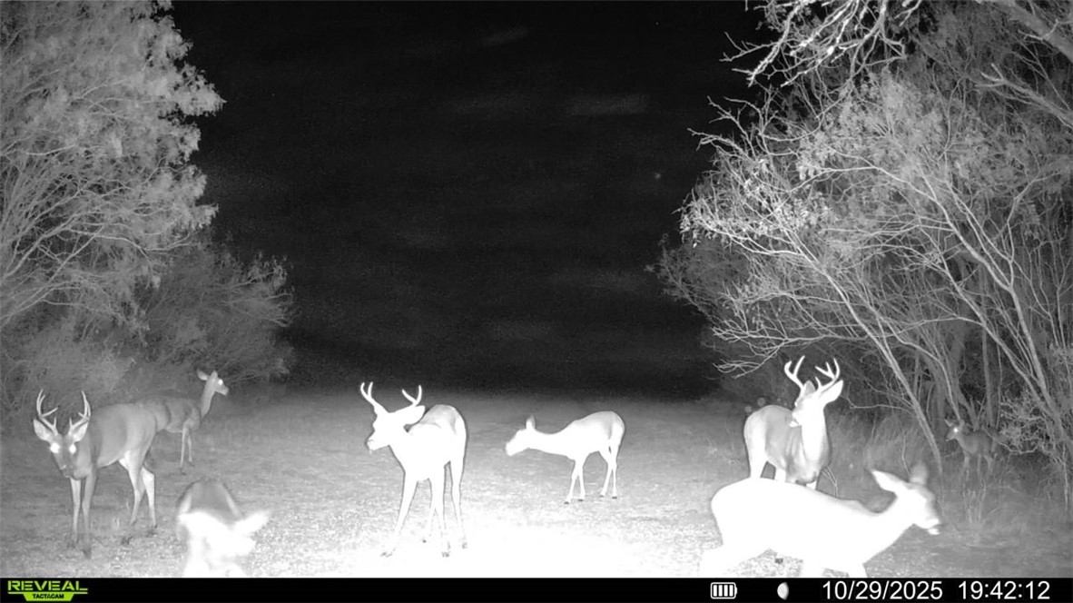 0 County Road 215- 30 Acres Property Photo 27