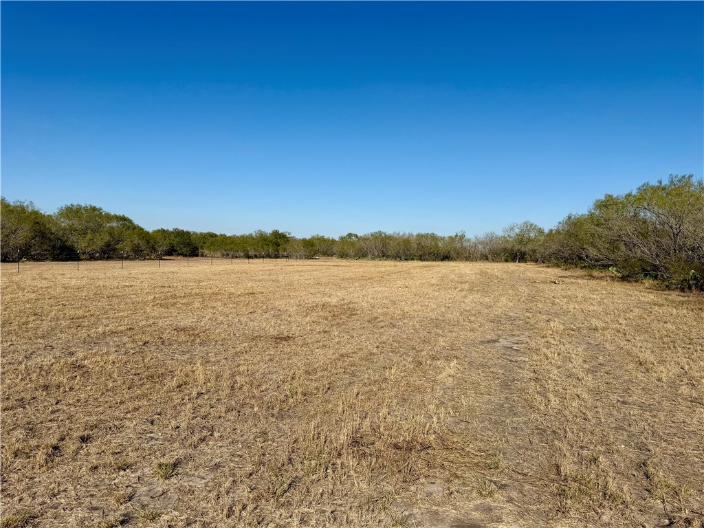 0 County Road 215- 30 Acres Property Photo 28