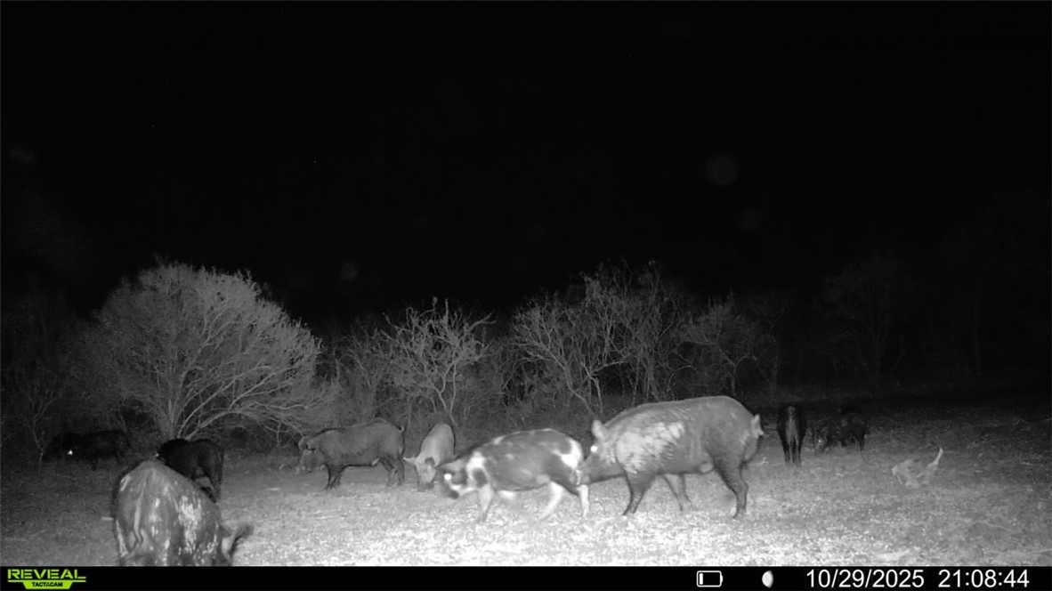 0 County Road 215- 30 Acres Property Photo 29