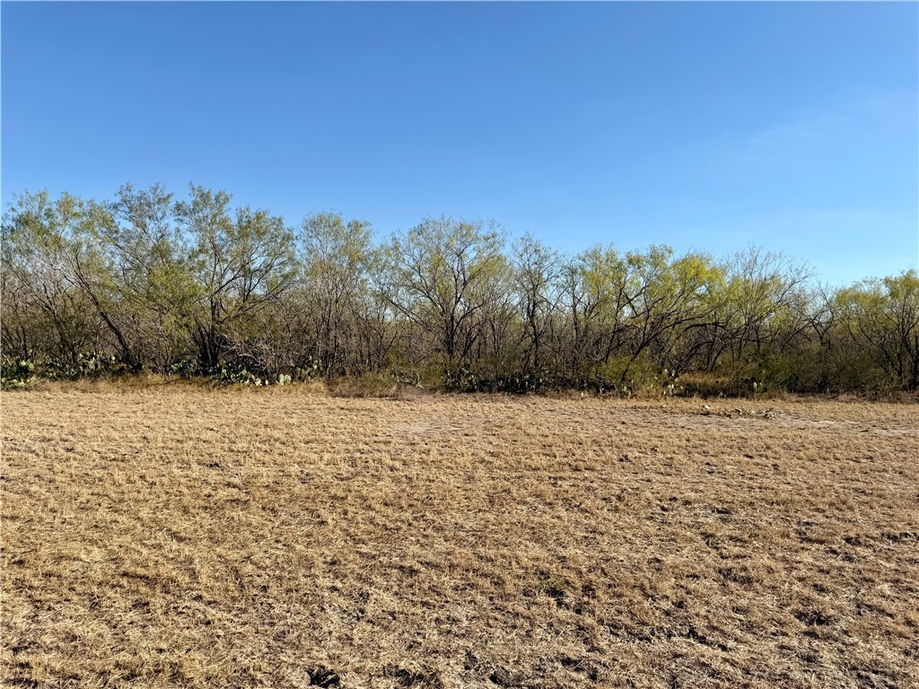 0 County Road 215- 30 Acres Property Photo 33