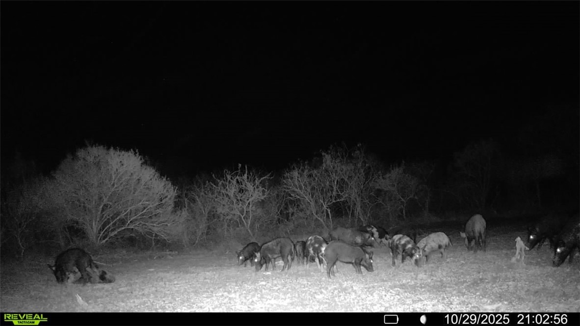 0 County Road 215- 30 Acres Property Photo 34