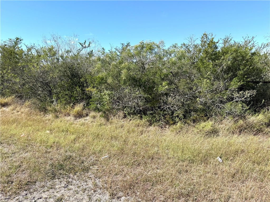 2647 Highway 359 Property Photo 1