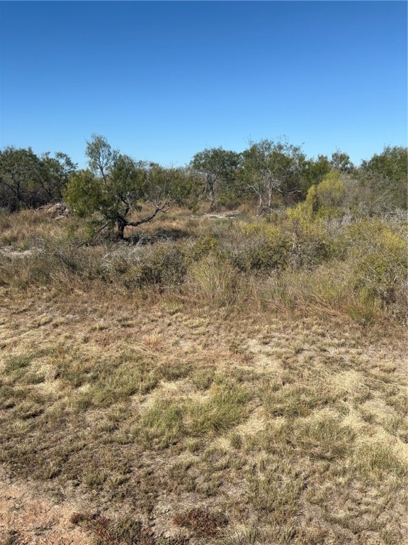 538 Water Oak Lane Property Photo 4