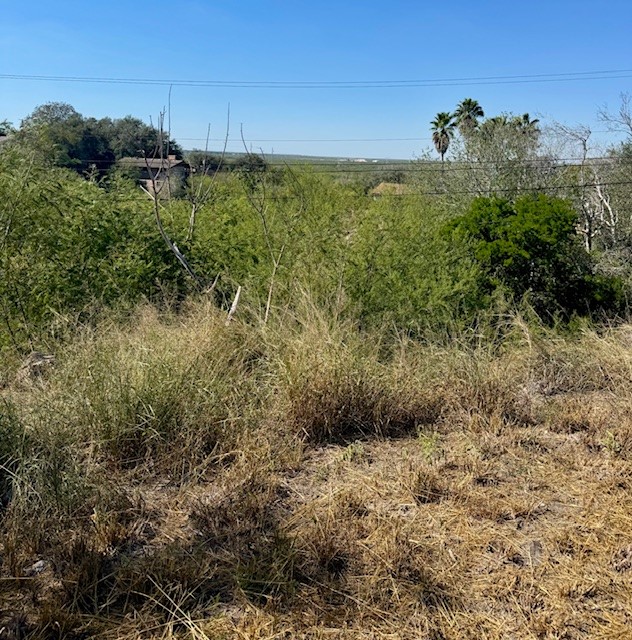 5009 Calallen Dr Property Photo 3