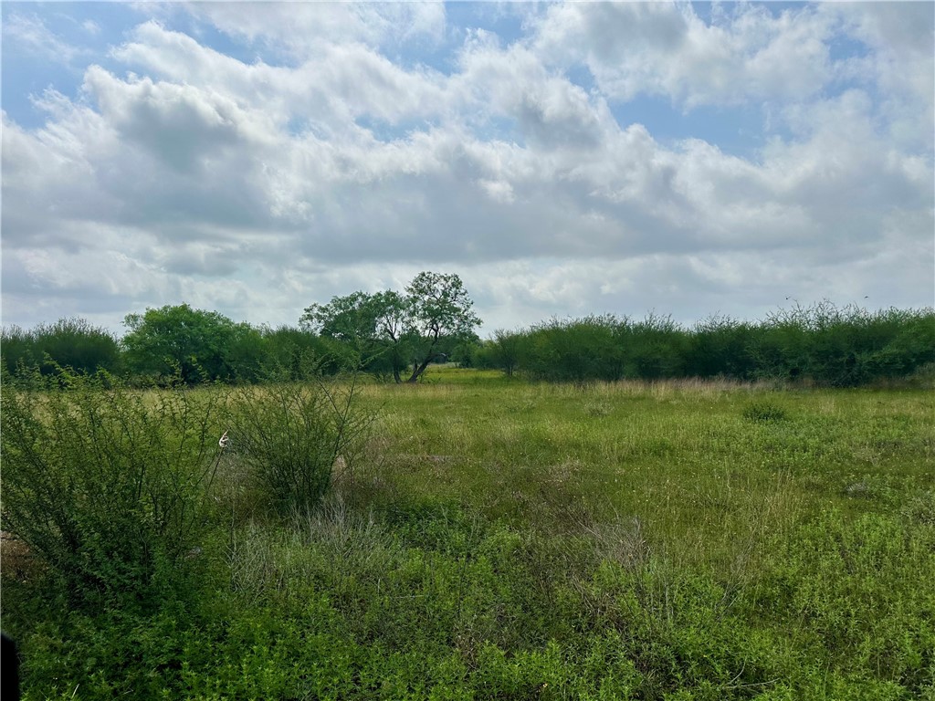 000 Old Goliad Rd- Tract 17 Property Photo 3