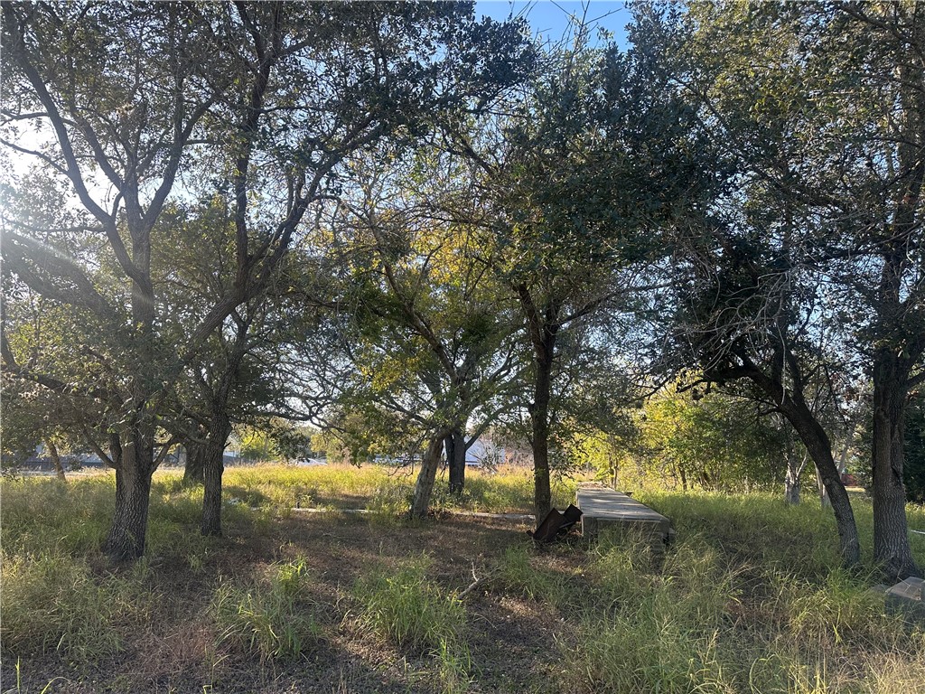313 Burton Property Photo 1