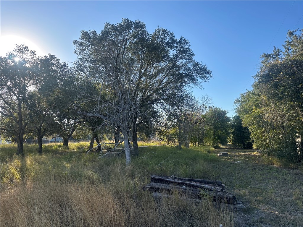 313 Burton Property Photo 2