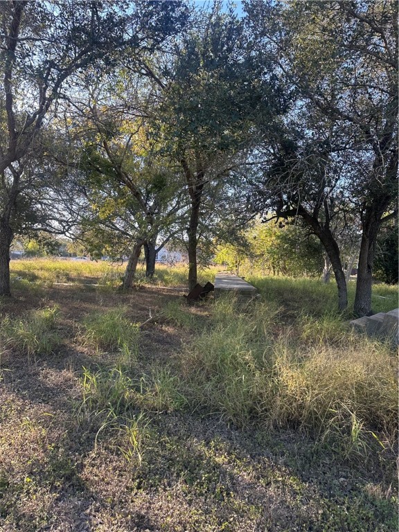 313 Burton Property Photo 3