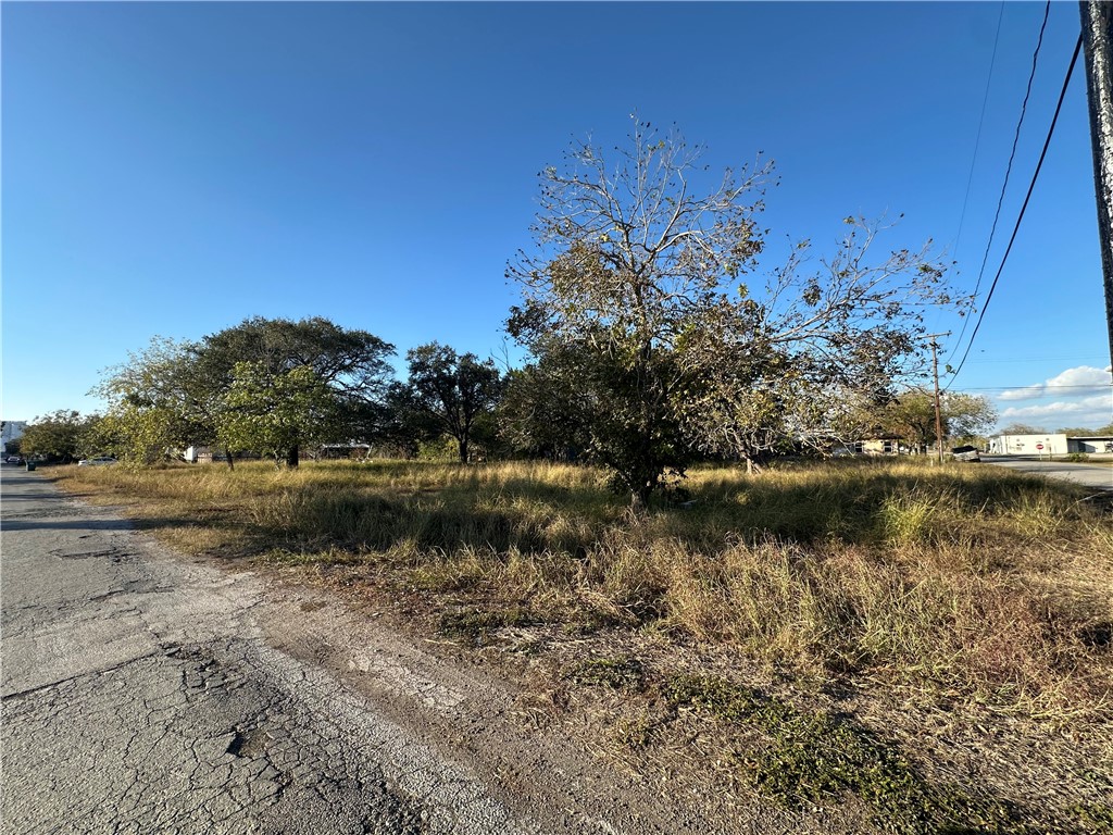 313 Burton Property Photo 4