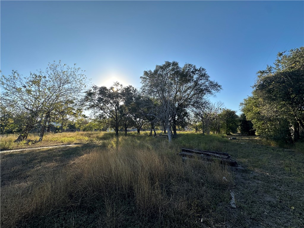 313 Burton Property Photo 6
