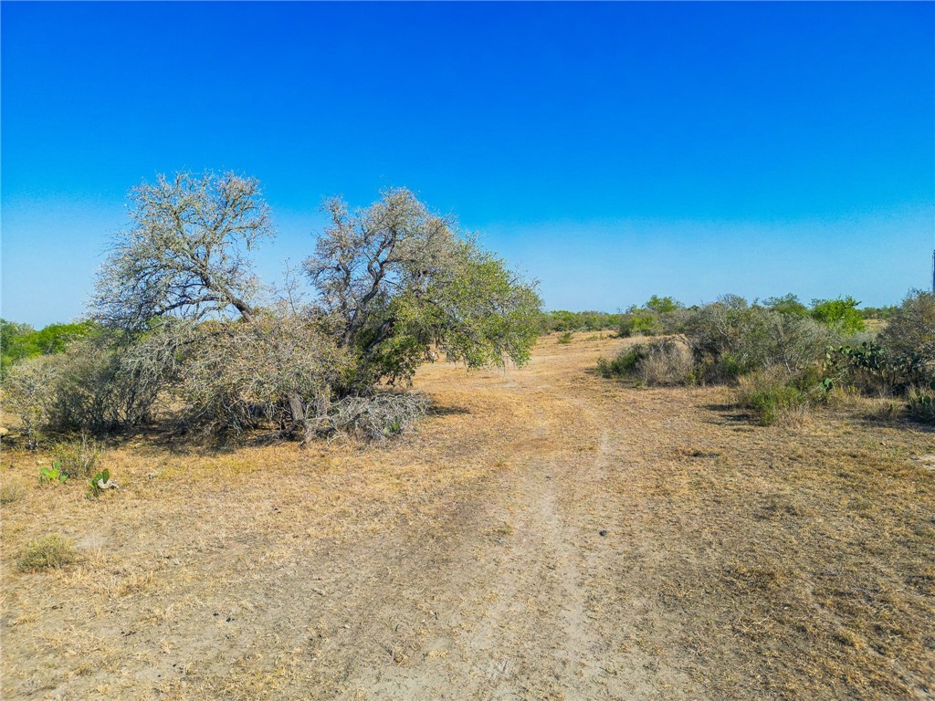 3189-3251 County Road 407 Property Photo 20