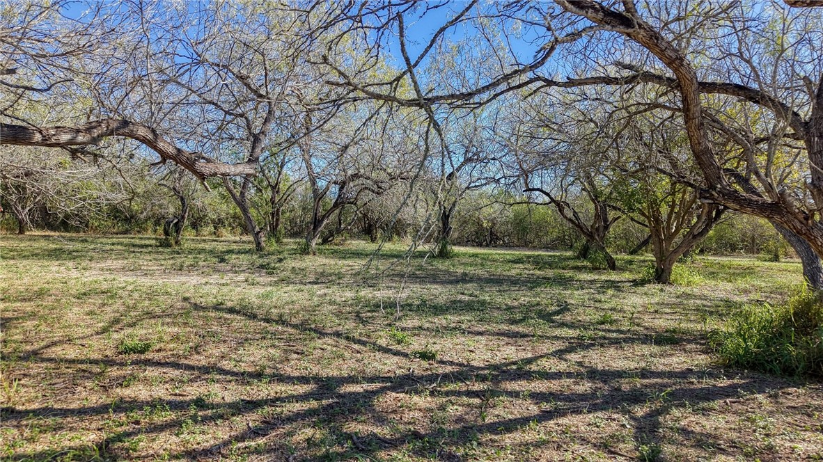 5730 Mockingbird Property Photo 5
