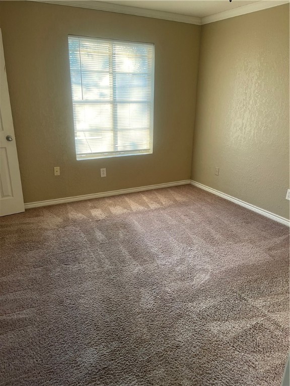 302 Timbertrail Property Photo 12