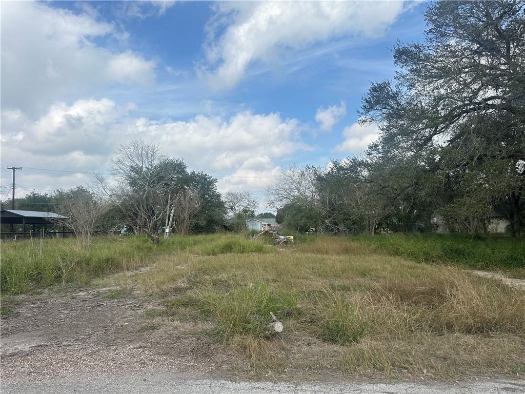 307 Burton Street Property Photo 4