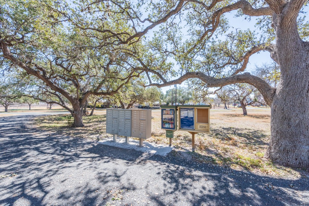 167 Buckeye Knoll Road Property Photo 29