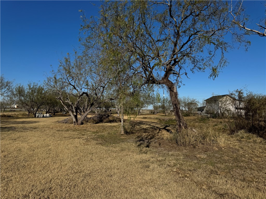 6323 County Road 1612 Property Photo 4
