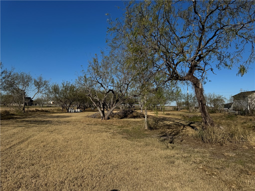 6323 County Road 1612 Property Photo 5