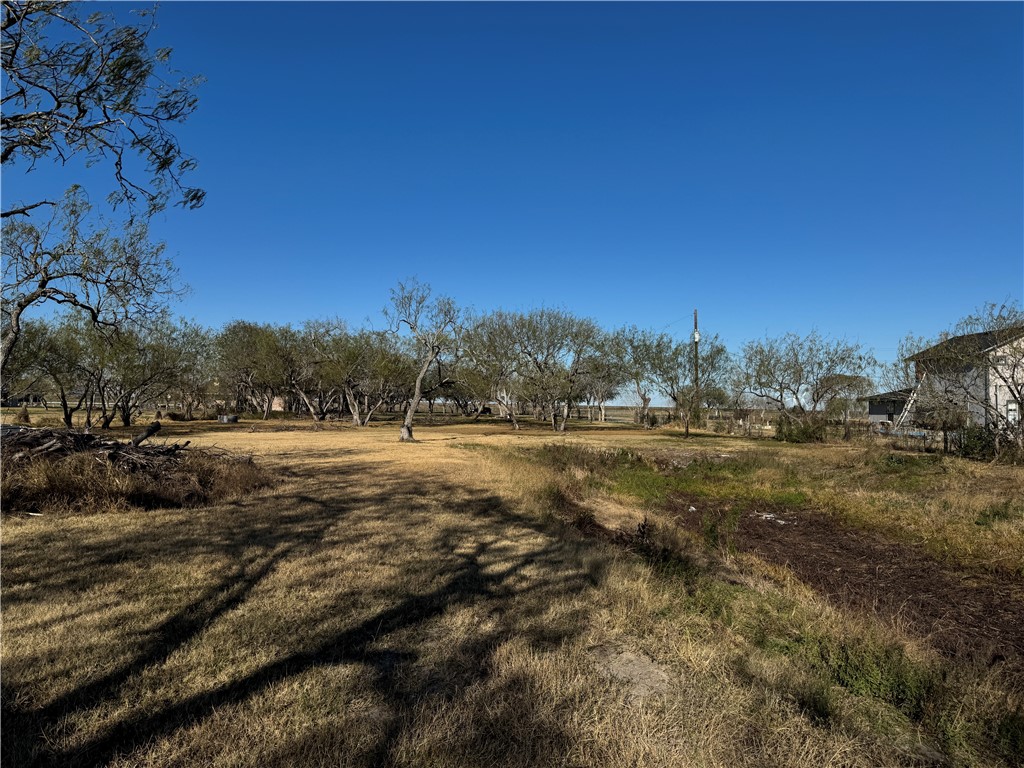 6323 County Road 1612 Property Photo 7
