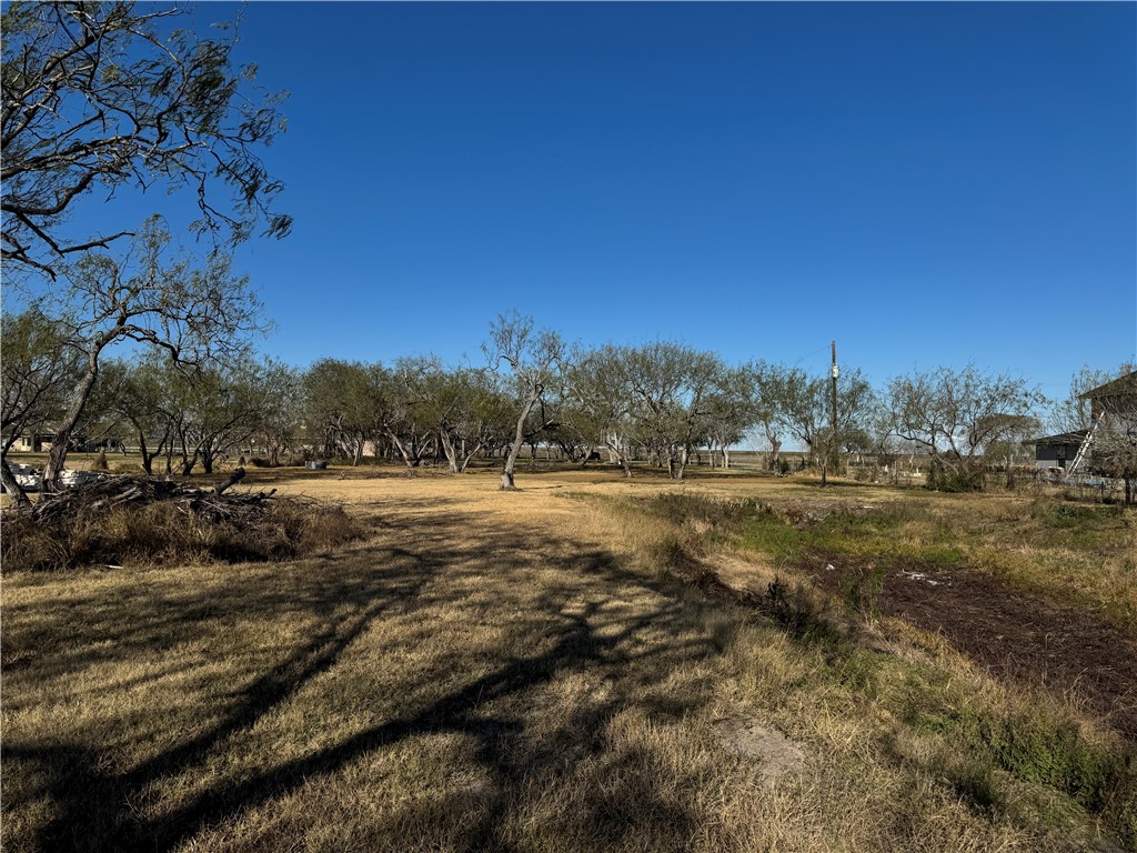 6323 County Road 1612 Property Photo 8
