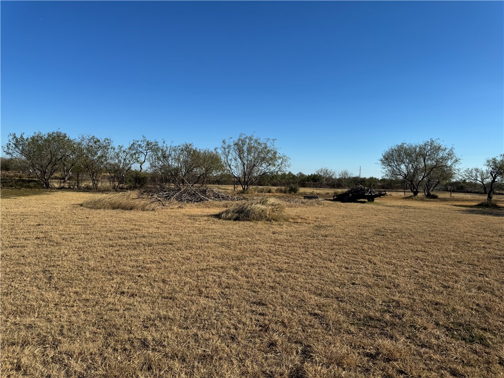 6323 County Road 1612 Property Photo 11