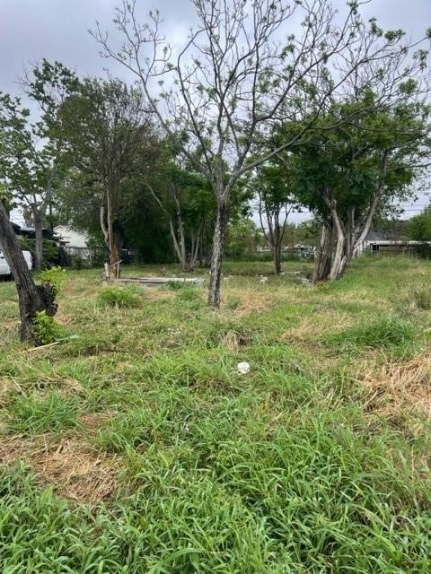 3133 Huisache St Property Photo 1