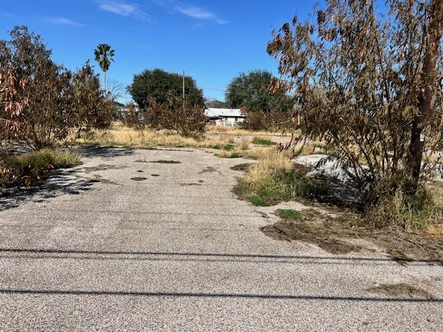 4300 Leopard St Property Photo 4