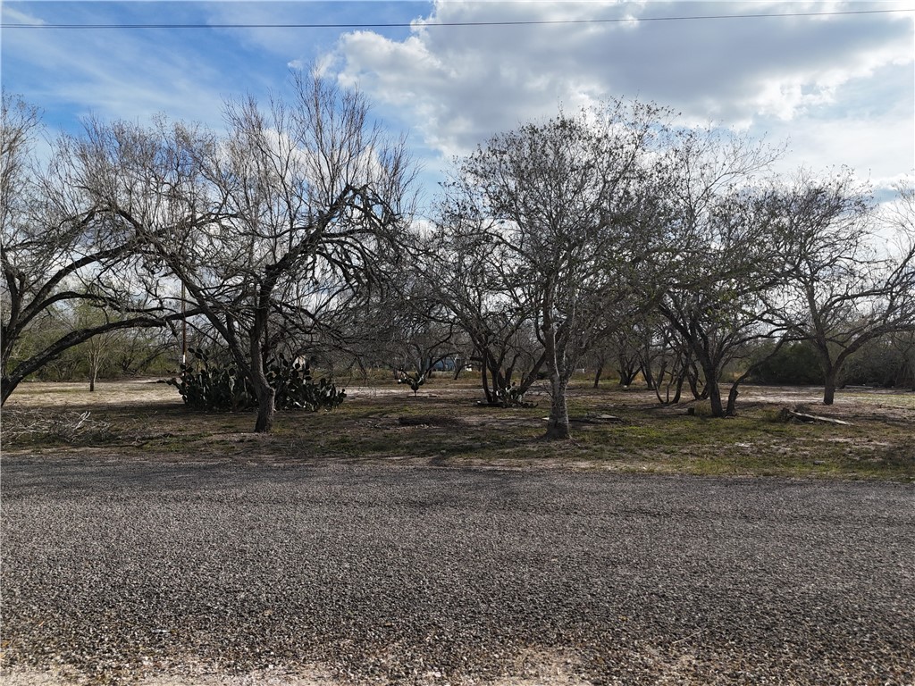 Tbd Cr 3053 Property Photo 2