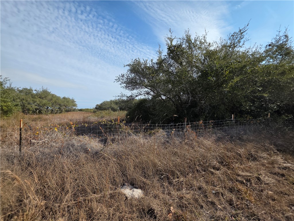 1555 Stoddard Ave Property Photo 8