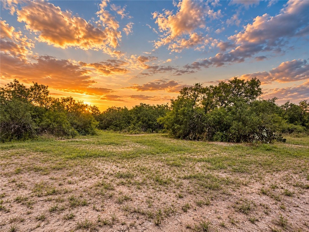 5742 Hidden Valley Loop Property Photo 4