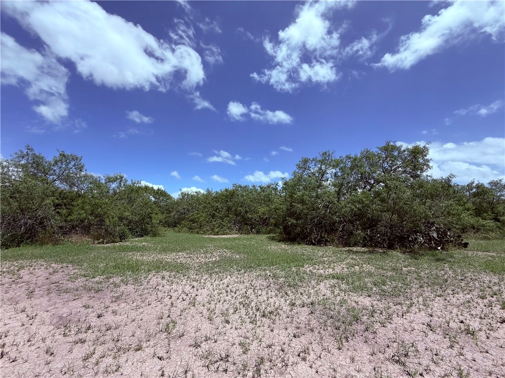 5742 Hidden Valley Loop Property Photo 28